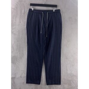 SuitSupply Ames Pleat Wool Pants Mens Size 48 Blue Pinstripe Vitale Barberis